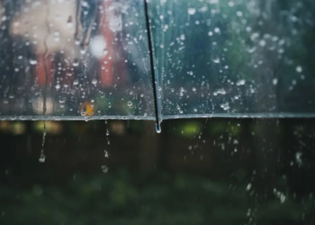 Фото: Shutterstock