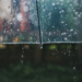 Фото: Shutterstock