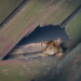 Фото: Shutterstock