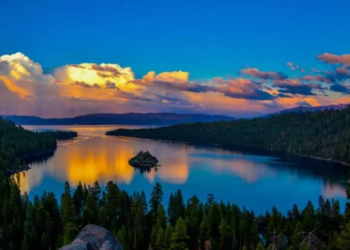 Фото: Shutterstock