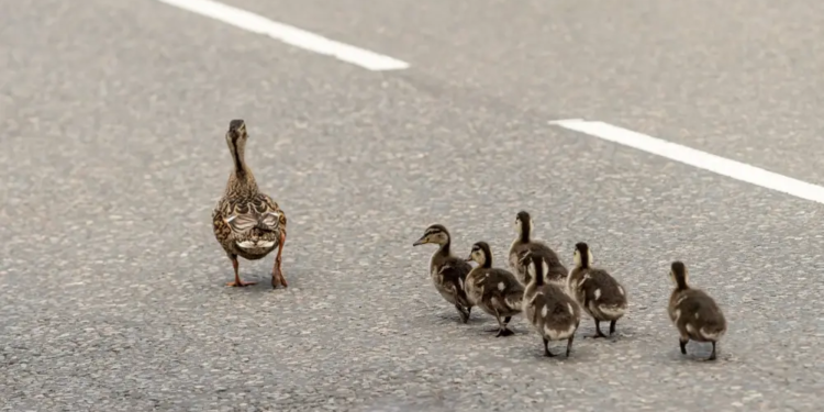 Фото: Shutterstock