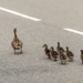 Фото: Shutterstock