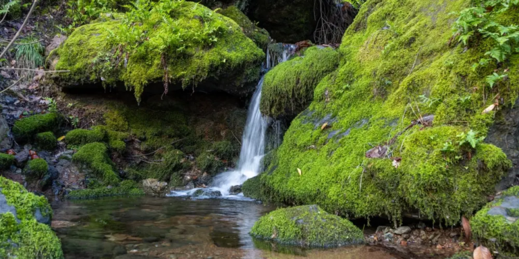Фото: Shutterstock