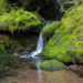 Фото: Shutterstock