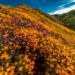 Фото: Shutterstock