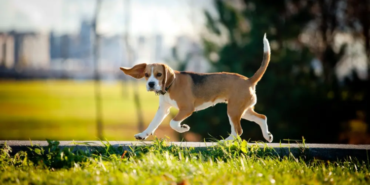 Фото: Shutterstock