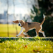 Фото: Shutterstock
