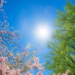 Фото: Shutterstock