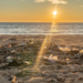 Фото: Shutterstock