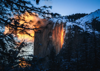Фото: Shutterstock