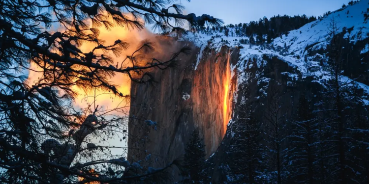 Фото: Shutterstock
