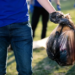Фото: Shutterstock