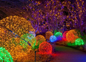 Фото: Shutterstock