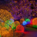 Фото: Shutterstock