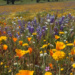 Фото: Shutterstock