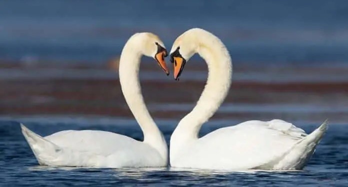 Фото: Shutterstock