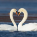 Фото: Shutterstock