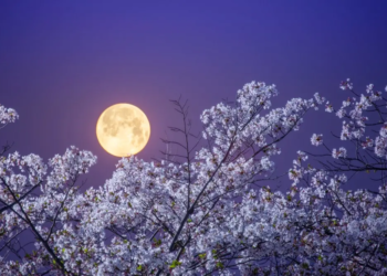 Фото: Shutterstock