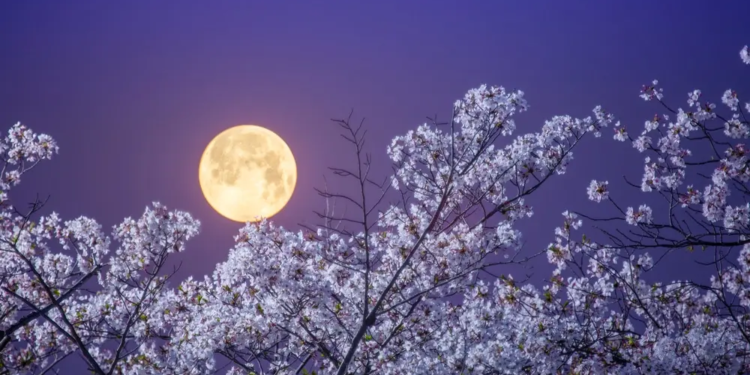 Фото: Shutterstock