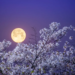 Фото: Shutterstock