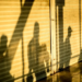 Фото: Shutterstock