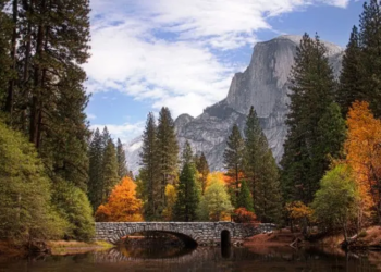 Фото: Shutterstock