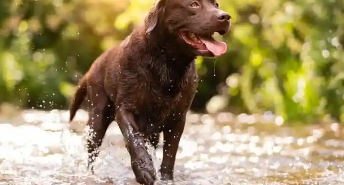 Фото: Shutterstock