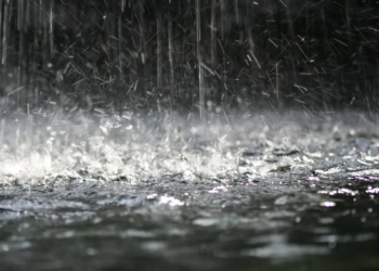 Фото: Shutterstock