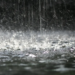 Фото: Shutterstock