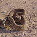 Фото: Shutterstock
