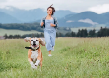 Фото: Shutterstock