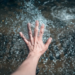 Фото: Shutterstock
