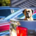 Фото: Shutterstock