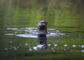 Фото: Shutterstock