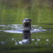 Фото: Shutterstock