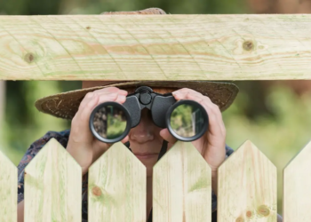 Фото: Shutterstock