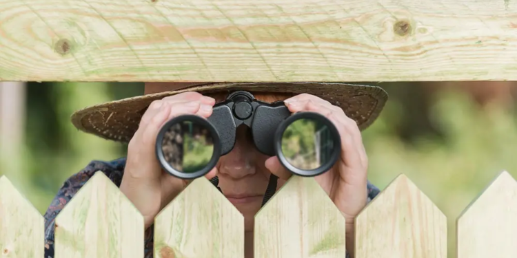 Фото: Shutterstock
