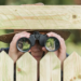 Фото: Shutterstock