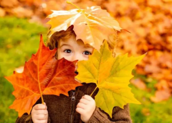 Фото: Shutterstock