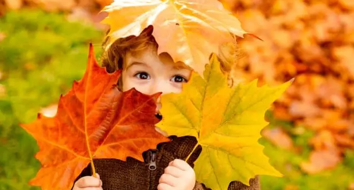 Фото: Shutterstock
