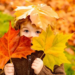 Фото: Shutterstock
