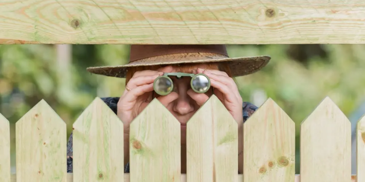 Фото: Shutterstock