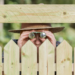 Фото: Shutterstock