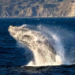 Фото: Shutterstock