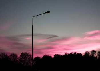 Фото: Shutterstock