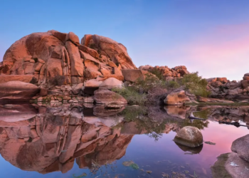 Фото: Shutterstock