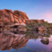Фото: Shutterstock