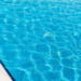 Фото: Shutterstock