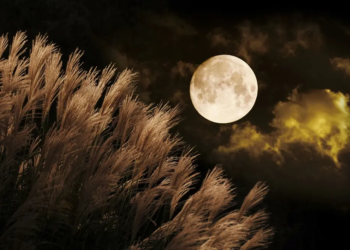 Фото: Shutterstock