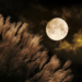 Фото: Shutterstock